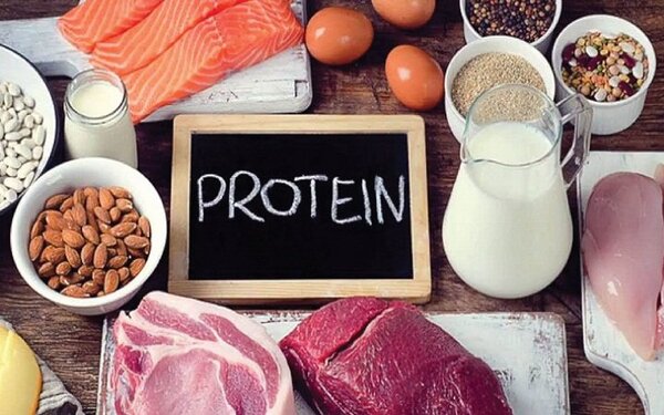 Protein là gì? Vai trò của protein với cơ thể
